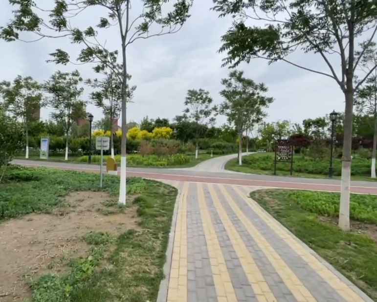 西青体育公园游玩攻略1