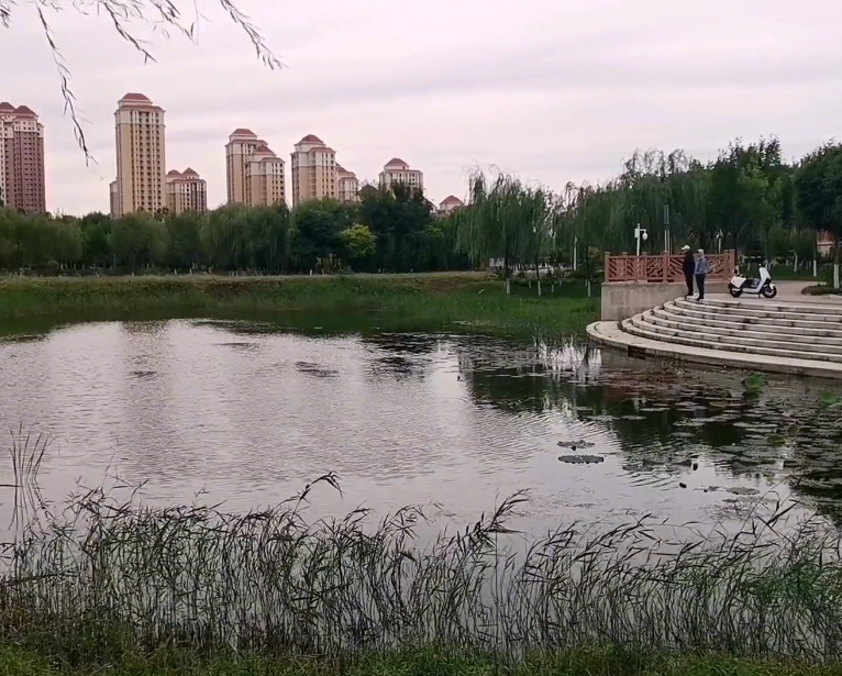 双青公园游玩攻略1