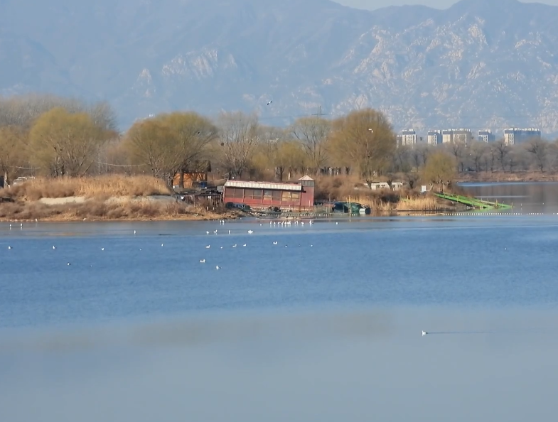 白庄子生态湿地游玩攻略1