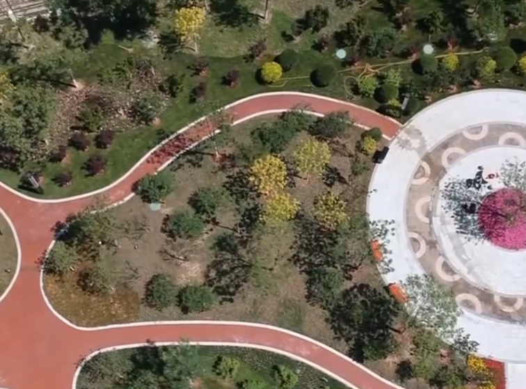 成林道公园游玩攻略1