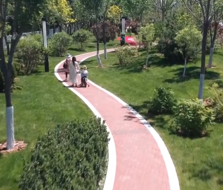 成林道公园游玩攻略2