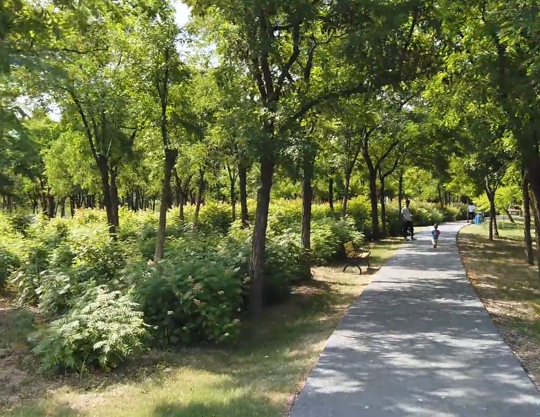 港北森林公园游玩攻略1