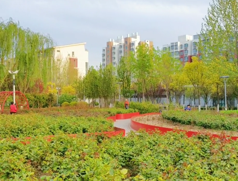 春熙公园游玩攻略1