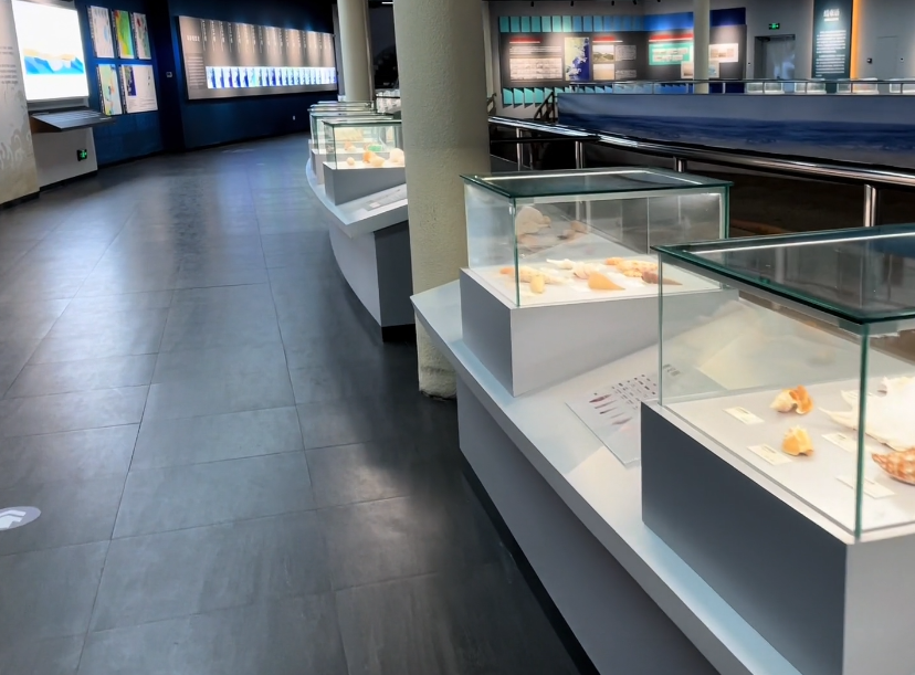 古林古海岸遗迹博物馆游玩攻略1