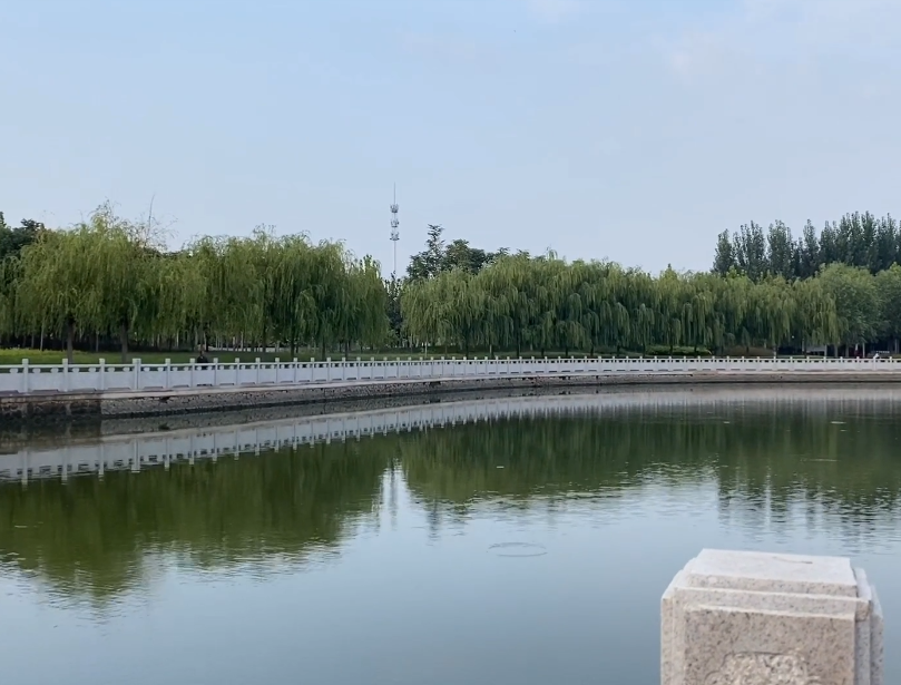 翠亨路生态绿廊游玩攻略1