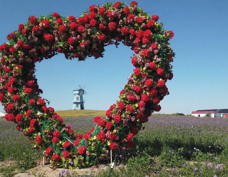 花漾年华爱情主题公园游玩攻略1