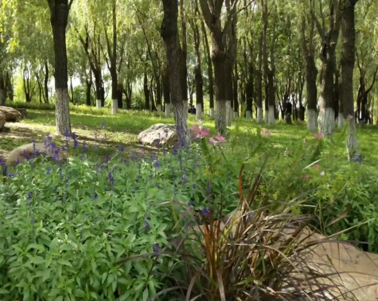 友谊公园游玩攻略1