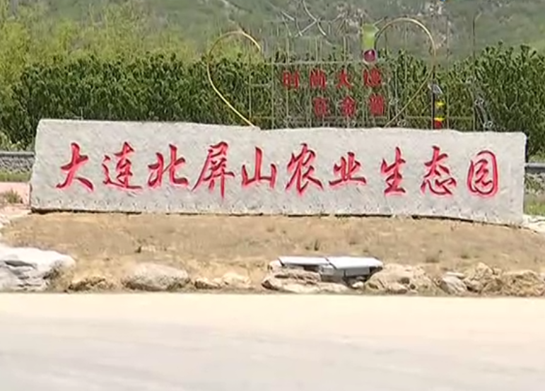 大连北屏山农业生态园游玩攻略1