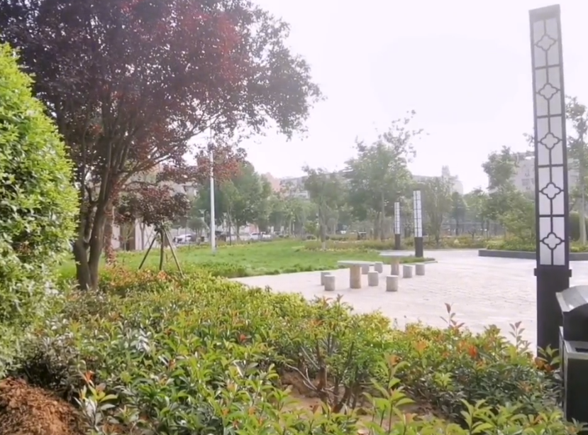 清风园游玩攻略1