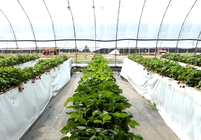 无瑕生态园游玩攻略1