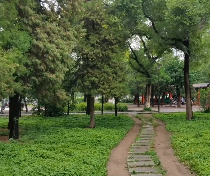 沈阳万泉公园游玩攻略2