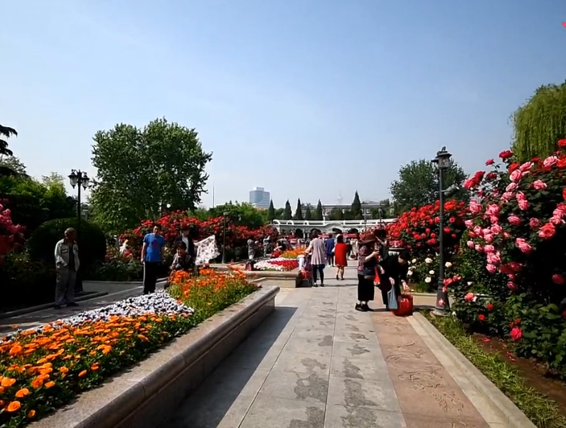 睦南公园游玩攻略1