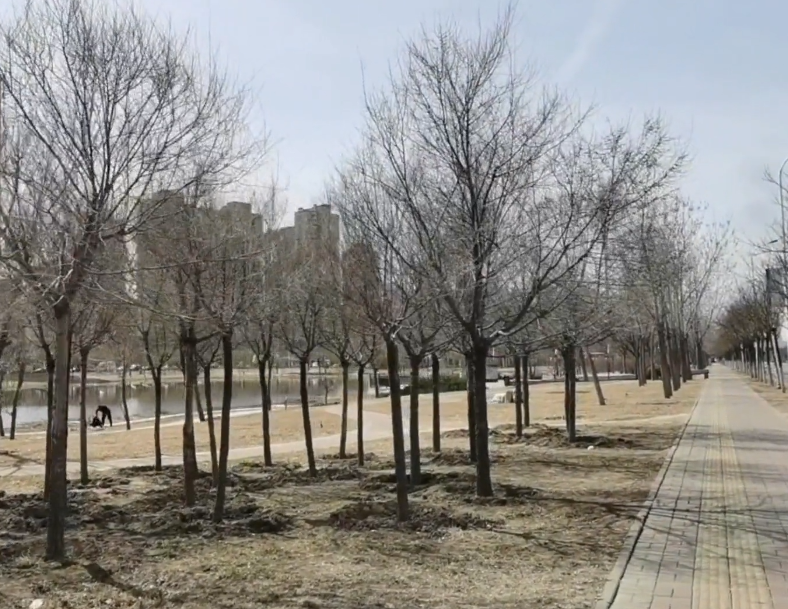 金水公园游玩攻略2