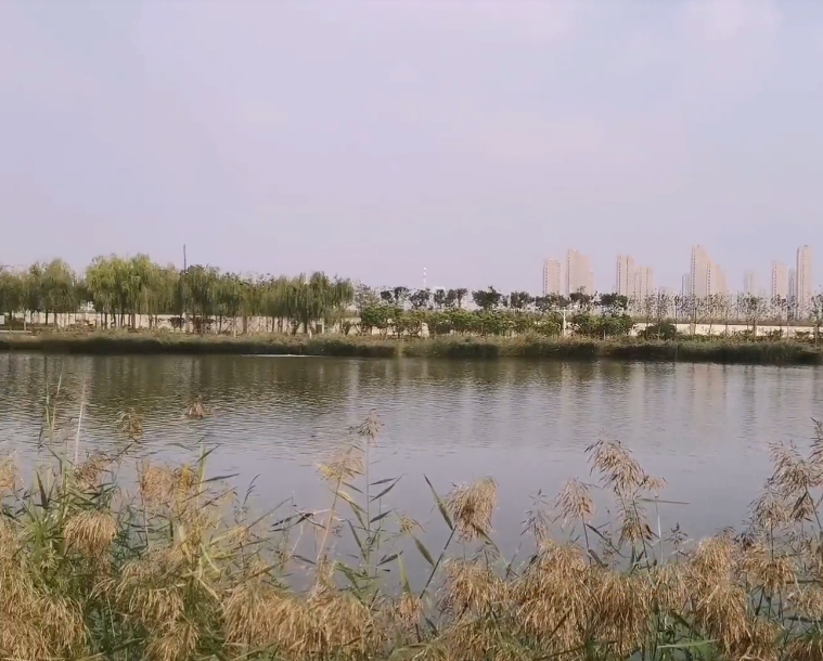 太湖路公园游玩攻略1