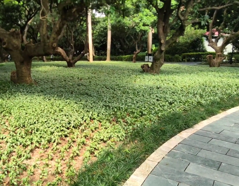 月牙湾公园游玩攻略2