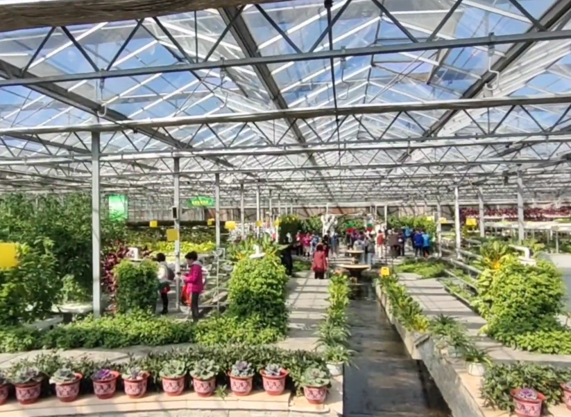 晶宝温泉农庄游玩攻略1