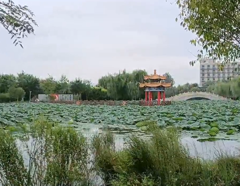 方舟公园游玩攻略1