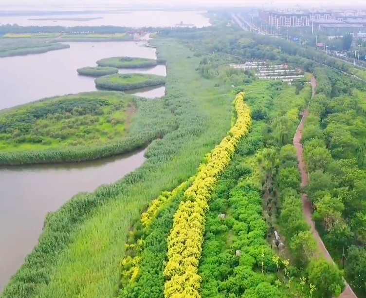 亿利国际生态岛游玩攻略1