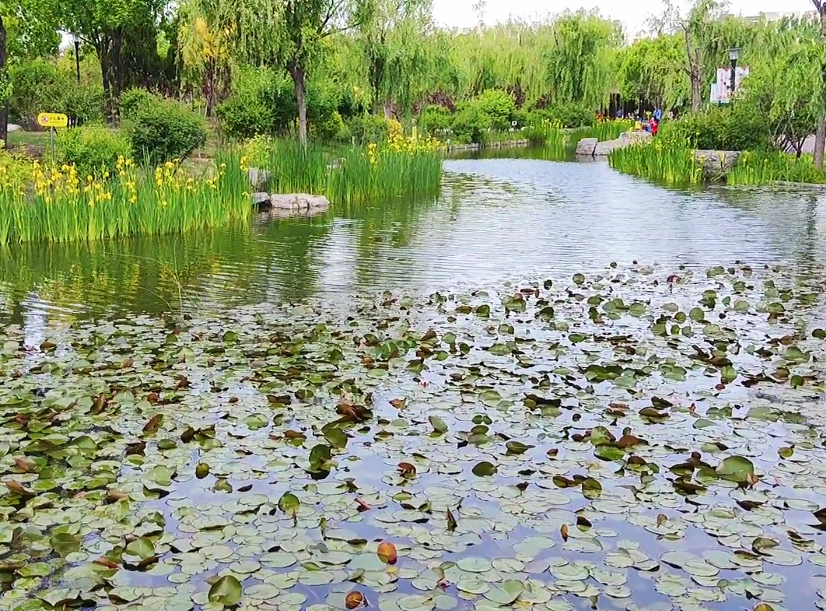 富民公园游玩攻略1