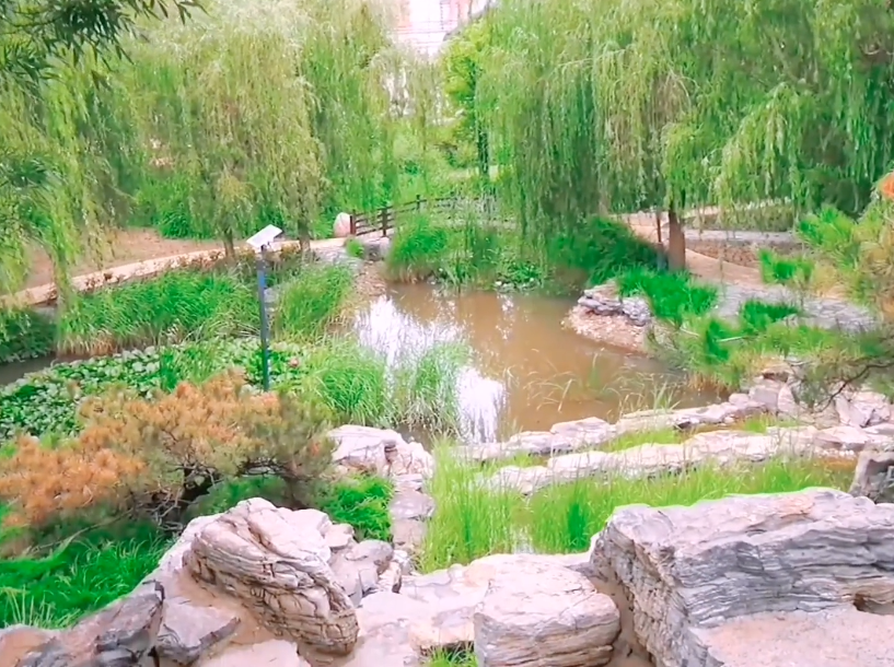 西柳公园游玩攻略1