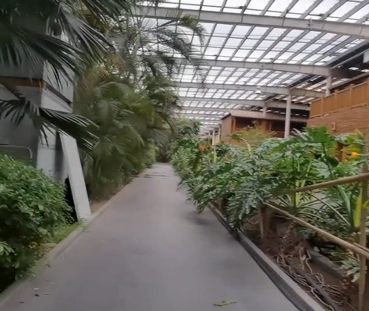 兴龙温泉生态城游玩攻略1