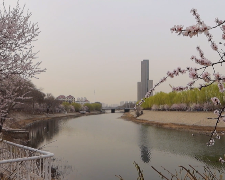 桃花园游玩攻略1