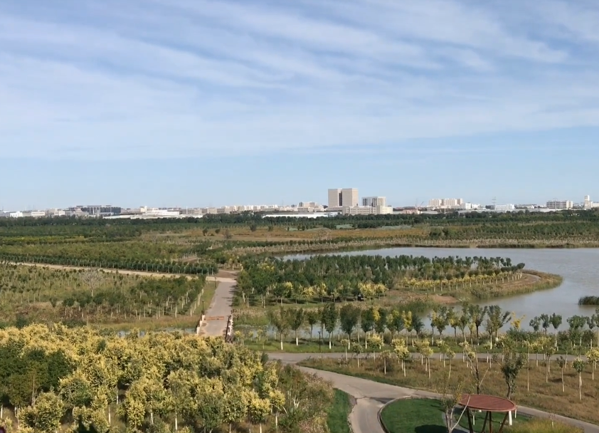 绿屏辛庄湾游玩攻略1