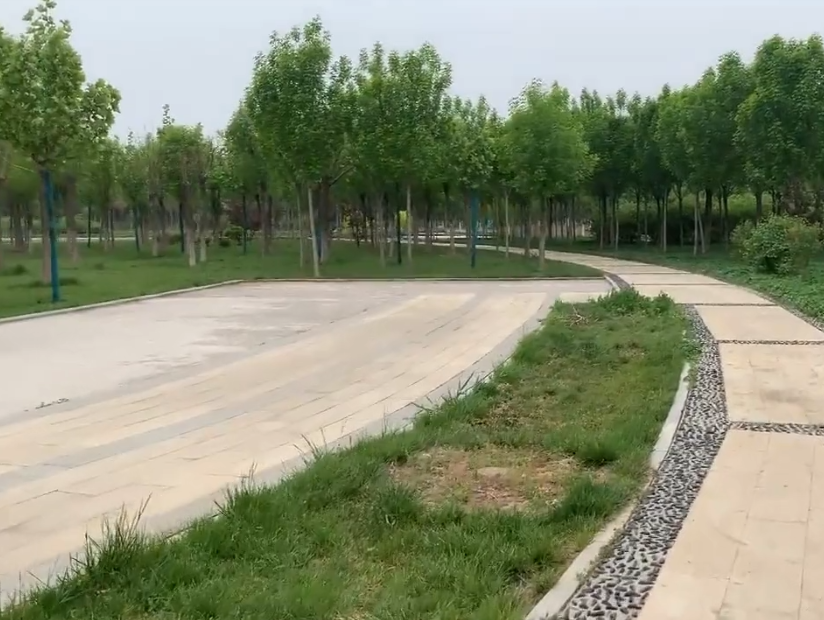 新立野郊公园游玩攻略1