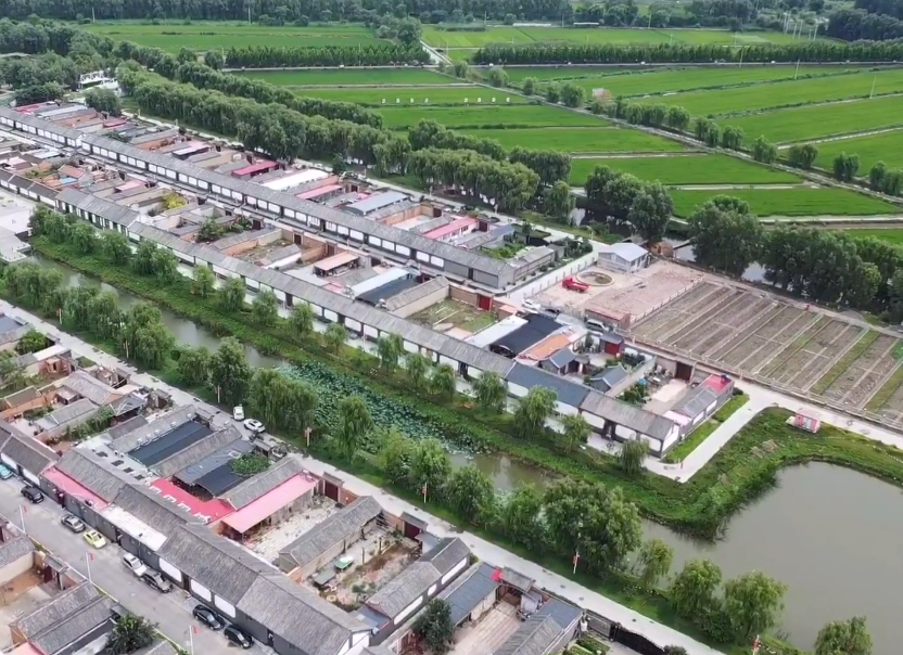 小辛码头村游玩攻略1