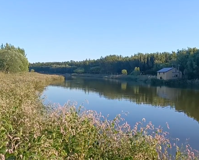 永定河故道国家湿地公园游玩攻略1