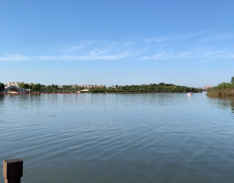 东丽湖自然艺苑游玩攻略1