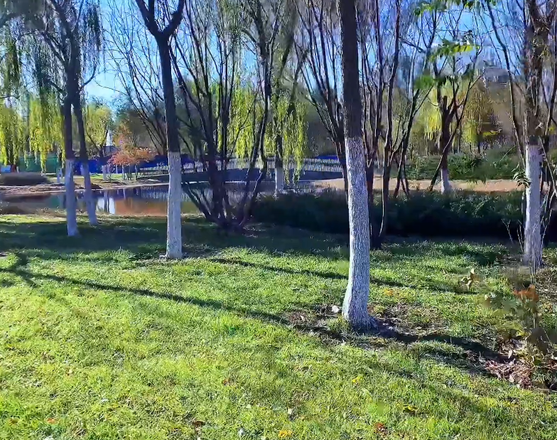 绿水园游玩攻略1