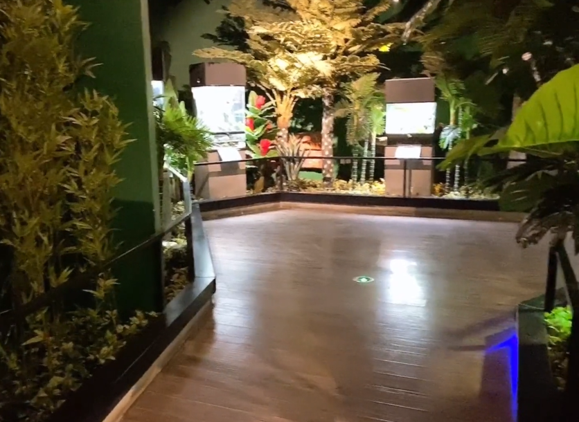 zoonly室内主题动物王国游玩攻略1