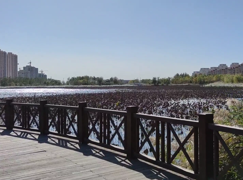 南湖北海公园游玩攻略1