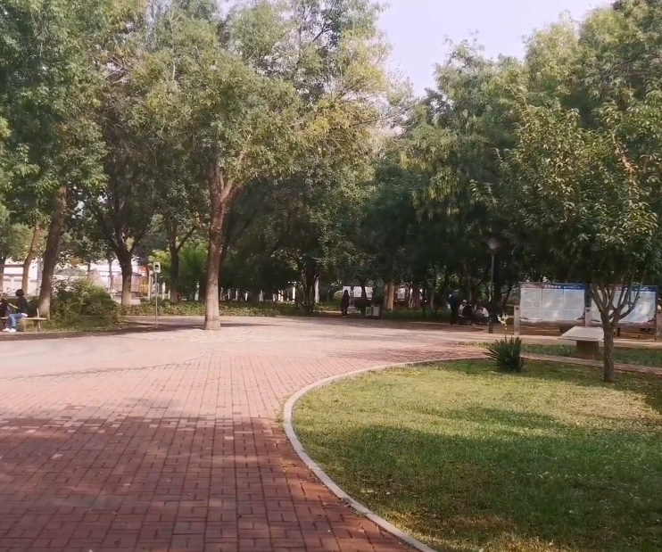 珠江公园游玩攻略1