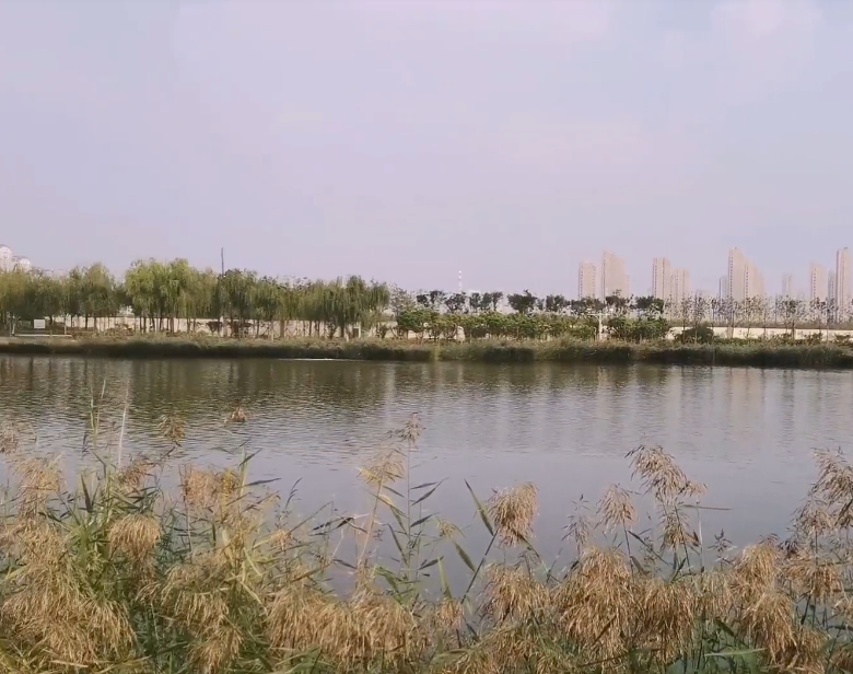 太湖路公园游玩攻略1