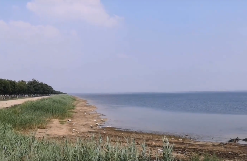 燕王湖湿地生态园游玩攻略1