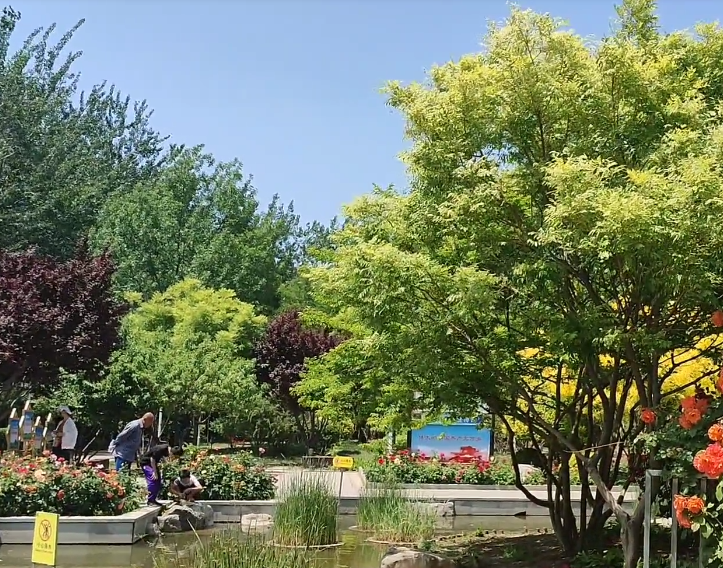 中山门公园游玩攻略1