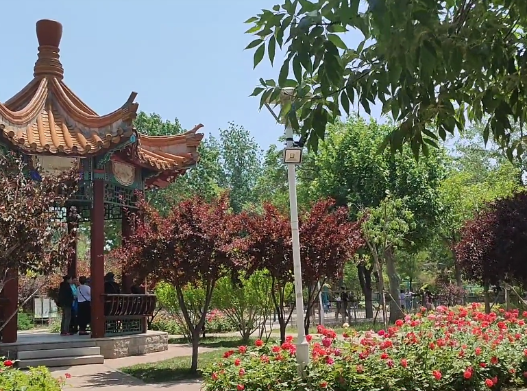 中山门公园游玩攻略2