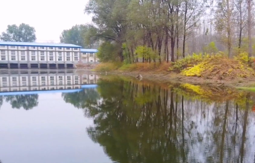 青龙湾森林公园游玩攻略1