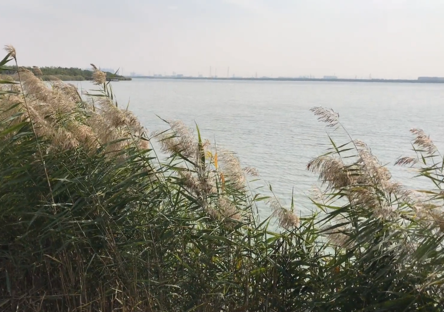 东丽东湖公园游玩攻略1