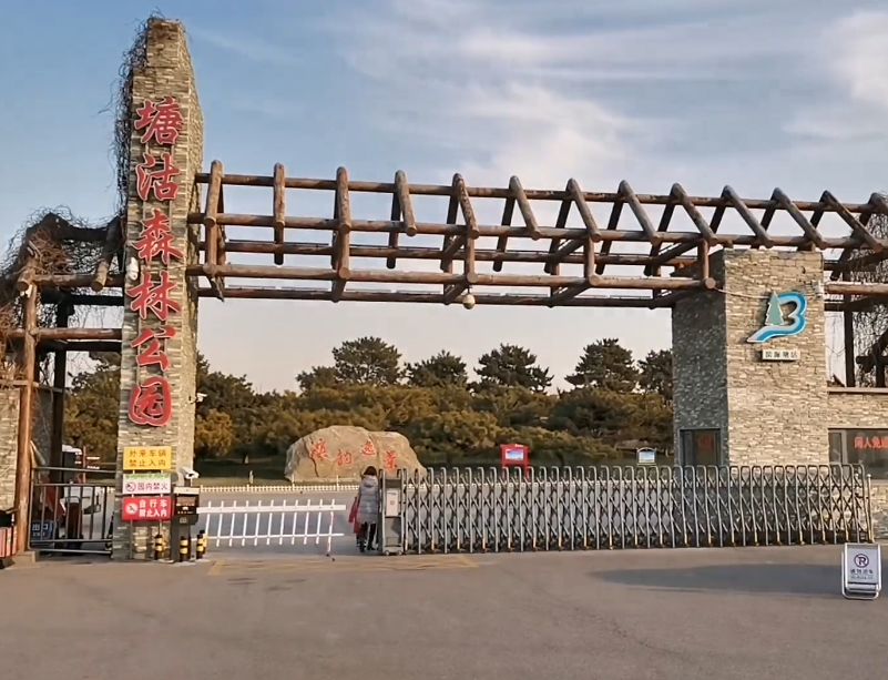塘沽森林公园游玩攻略1