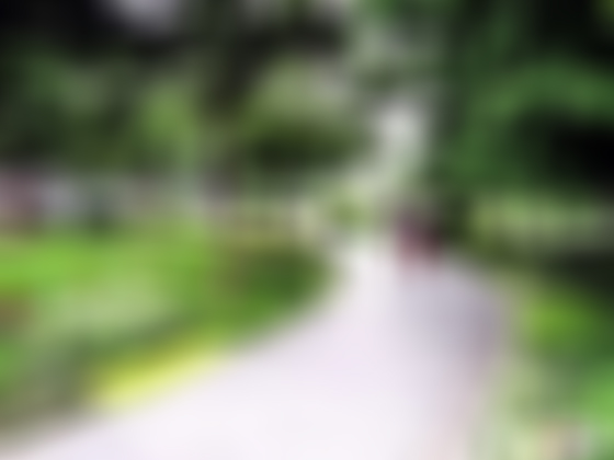 上海黄浦丽园公园游玩攻略