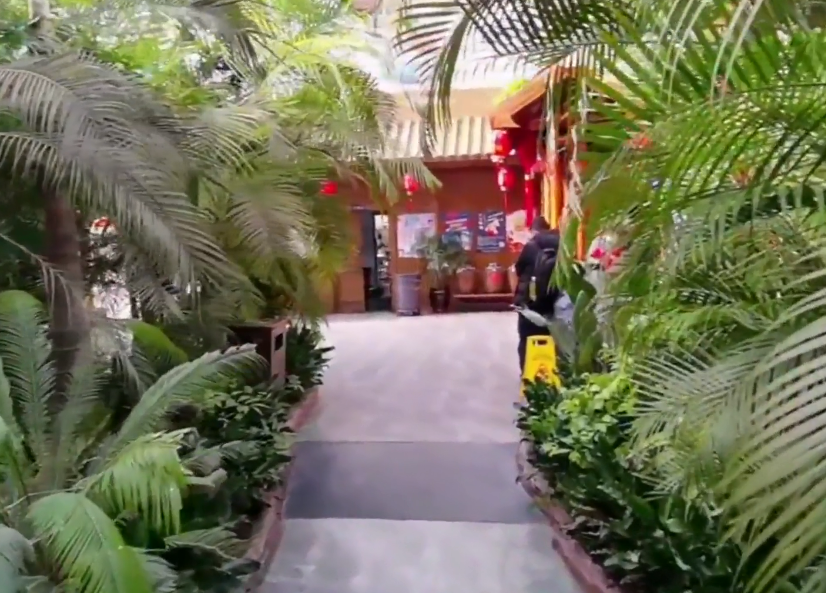 芦台春生态园游玩攻略1