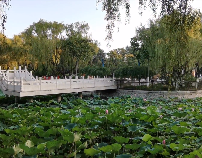 东丽公园游玩攻略2