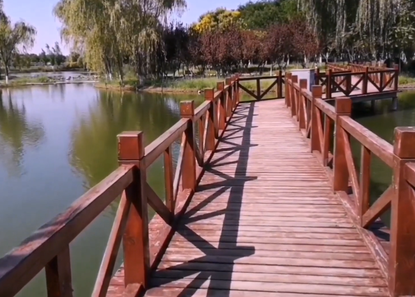 南海森林公园游玩攻略1