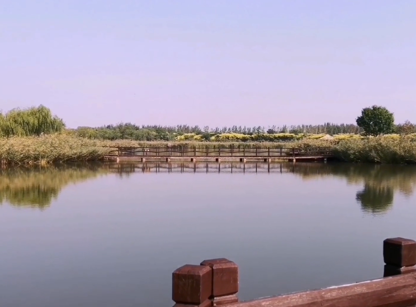 西青郊野公园游玩攻略1