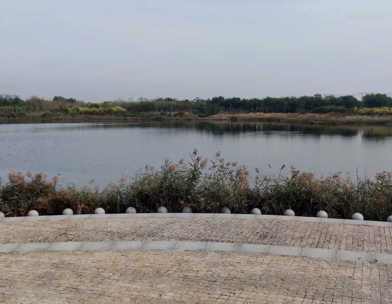 贝壳堤湿地公园游玩攻略1