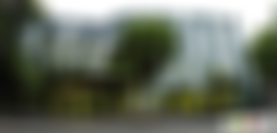 上海黄埔当代艺术馆游玩攻略1