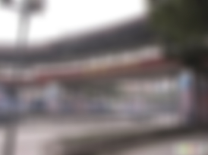 上海徐汇龙华旅游城游玩攻略1